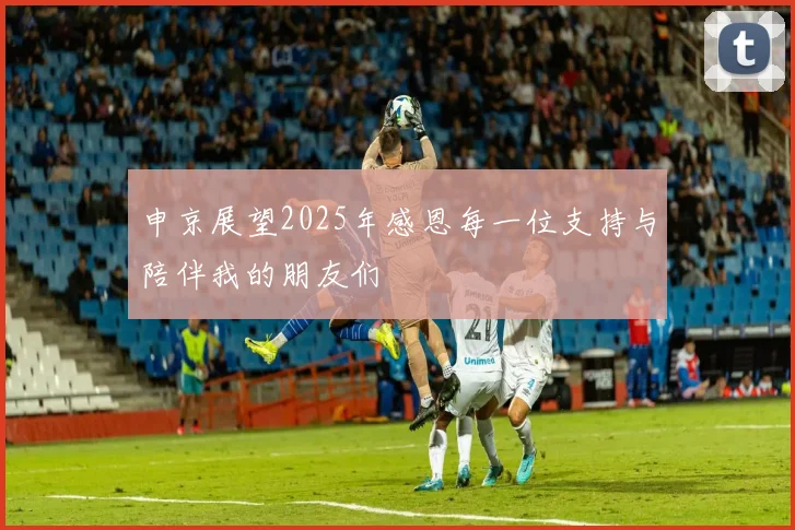 申京展望2025年感恩每一位支持与陪伴我的朋友们