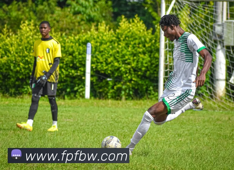 开云体育服务体系